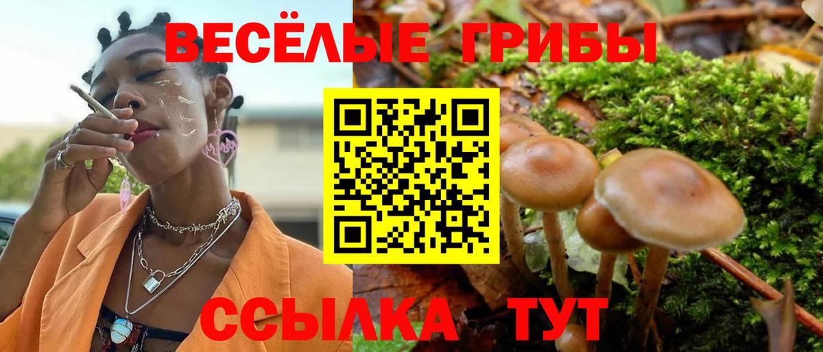 Галлюциногенные грибы Magic Shrooms Сарапул